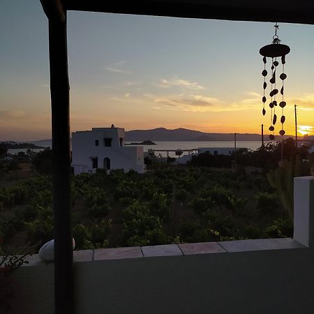 Hotel Matina'S Vineyard Mikri Vigla Pokój zdjęcie